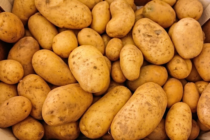 Farm Fresh Vegetables